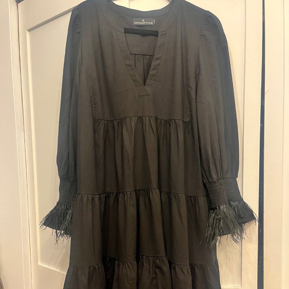 Tuckernuck Pomander Place Black Crepe Kenzo Dress - XXL with feathers added